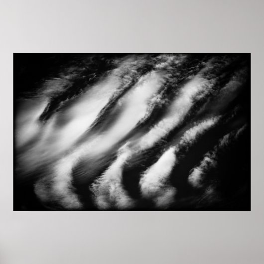 gefallene Geier Poster (Vorne)