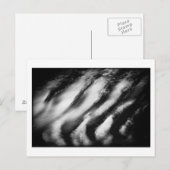 gefallene Geier Postkarte (Vorne/Hinten)