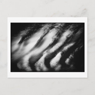 gefallene Geier Postkarte