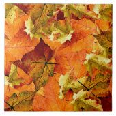 Gefallene Herbstleaves Fliese (Vorderseite)