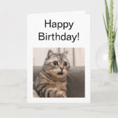 Gefallene Karte Shocked Cat Meme (Vorderseite)