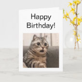 Gefallene Karte Shocked Cat Meme (Gelbe Blume)