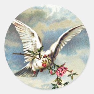 Gefallene Taube mit Rosen Runder Aufkleber