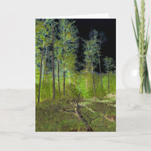 Gefallener Baum: Adirondack-Waldszene verändertes Karte