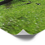 Gefallener Baum Foto Poster (Ecke)