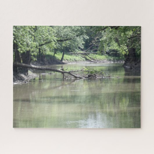 Gefallener Baum im Wasser Puzzle (Horizontal)