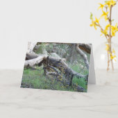 Gefallener Baum Karte (Gelbe Blume)