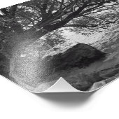 Gefallener Baum über Wasser Fotodruck (Ecke)