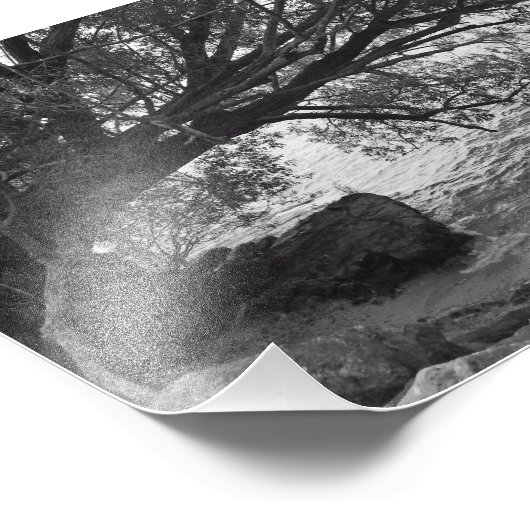 Gefallener Baum über Wasser Fotodruck (Ecke)