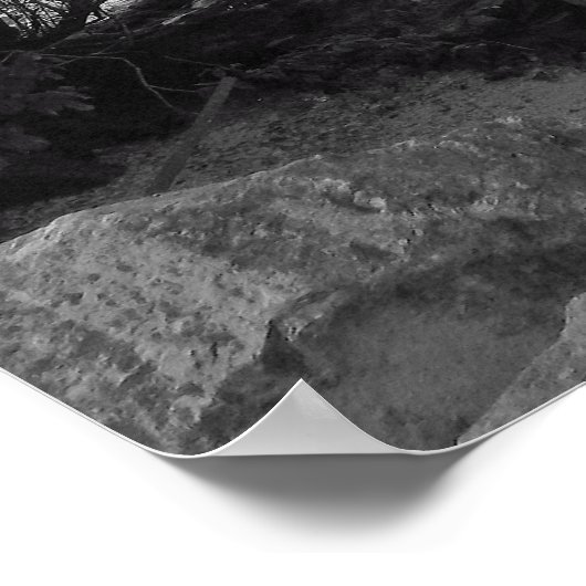 Gefallener Baum über Wasser Poster (Ecke)