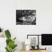 Gefallener Baum über Wasser Poster (Heimbüro)