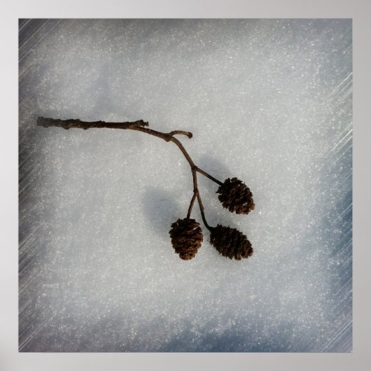 gefallener Zweig Poster (Vorne)