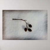 gefallener Zweig Poster (Vorne)