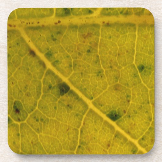 gefallenes Blatt 15A Untersetzer (Vorderseite)