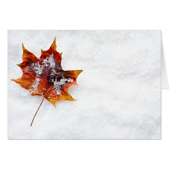 Gefallenes Blatt in der Schnee-Gruß-Karte Karte