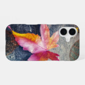 Gefallenes Blatt iPhone 16 Hülle (Rückseite (Horizontal))