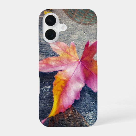 Gefallenes Blatt iPhone 16 Hülle (Rückseite)