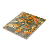 gefallenes Blätter im Regen Fliese (Seite)