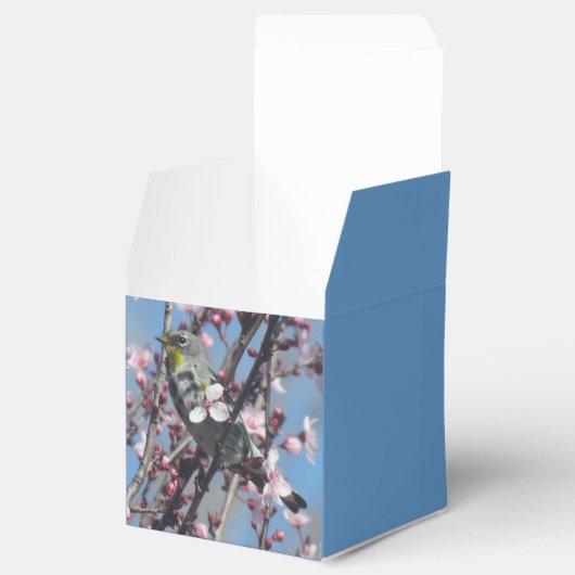 Gefälligkeitsbox - Sparrow in Pflaumenbaum Geschenkschachtel (Geöffnet)