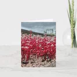 Gefaltete Grußkarte mit Wildblume Foto. Karte