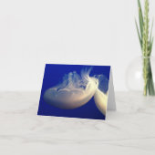 Gefaltete Mitteilungskarte