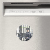 Gefangen in Dublin Magnet (In Situ (Geschirrspüler))