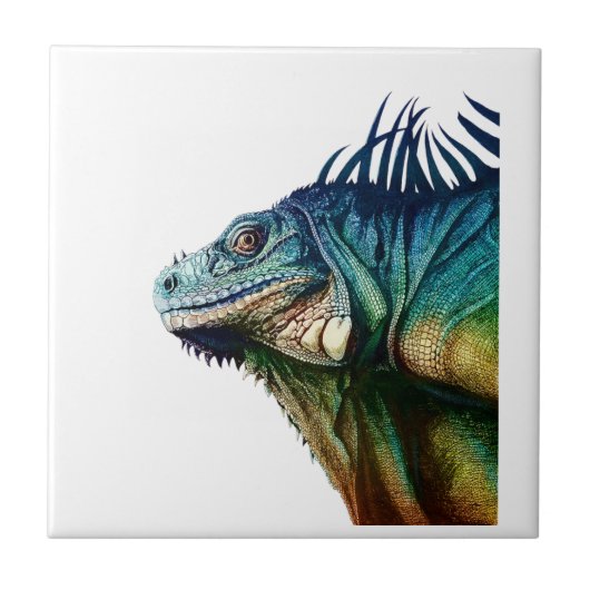 GEFANGEN IN MOMENTE FLIESE (Vorderseite)