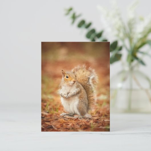 gefangen postkarte (Stehend Vorderseite)