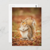 gefangen postkarte (Vorne/Hinten)