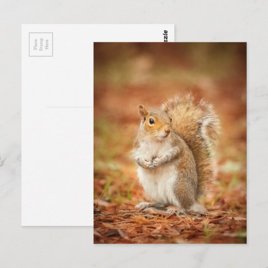 gefangen postkarte (Vorne/Hinten)