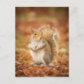 gefangen postkarte (Vorderseite)