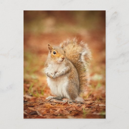 gefangen postkarte (Vorderseite)