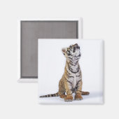 Gefangen, Südafrika Magnet (Vorderseite/Rückseite)