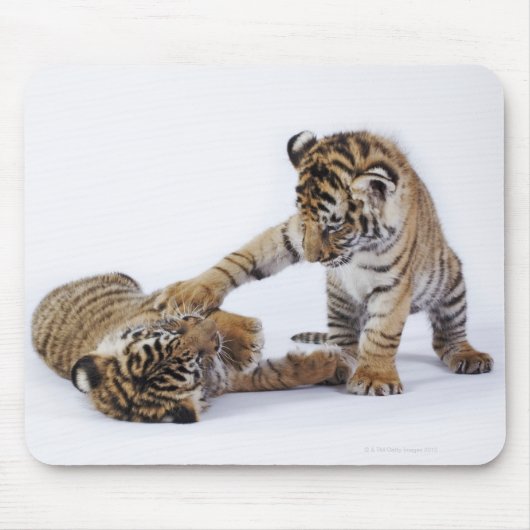 Gefangen, Südafrika Mousepad (Vorne)