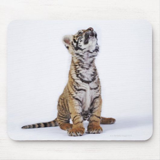 Gefangen, Südafrika Mousepad (Vorne)