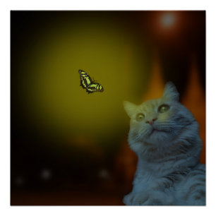 Gefangen von Schönheit: Katze meshiert von Schmett Poster