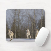 Gefangene, Duluth, Minnesota, USA 2 Mousepad (Mit Mouse)