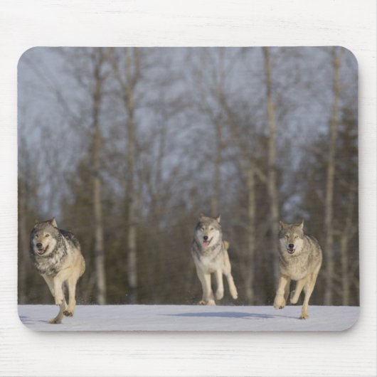 Gefangene, Duluth, Minnesota, USA 2 Mousepad (Vorne)