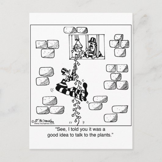 Gefangene entkommen über einen Philodendron Postkarte (Vorderseite)