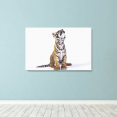 Gefangene, Südafrika 4 Leinwanddruck (Insitu (Holzboden))