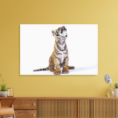 Gefangene, Südafrika 4 Leinwanddruck (Insitu (Wohnzimmer))