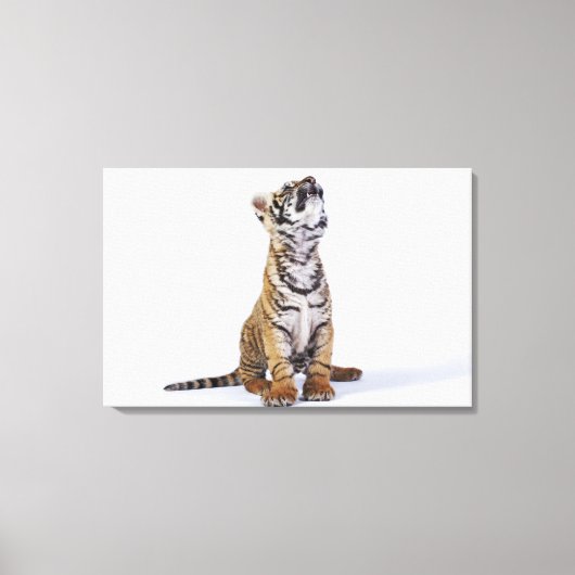 Gefangene, Südafrika 4 Leinwanddruck (Vorderseite)