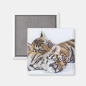 Gefangene, Südafrika 4 Magnet (Vorderseite/Rückseite)