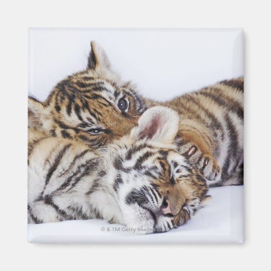 Gefangene, Südafrika 4 Magnet (Vorne)