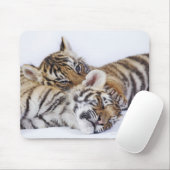 Gefangene, Südafrika 4 Mousepad (Mit Mouse)