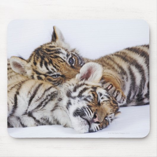 Gefangene, Südafrika 4 Mousepad (Vorne)