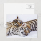 Gefangene, Südafrika 4 Postkarte (Vorne/Hinten)