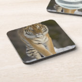 Gefangener, Duluth, Minnesota, USA Untersetzer (Linke Seite)