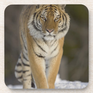 Gefangener, Duluth, Minnesota, USA Untersetzer