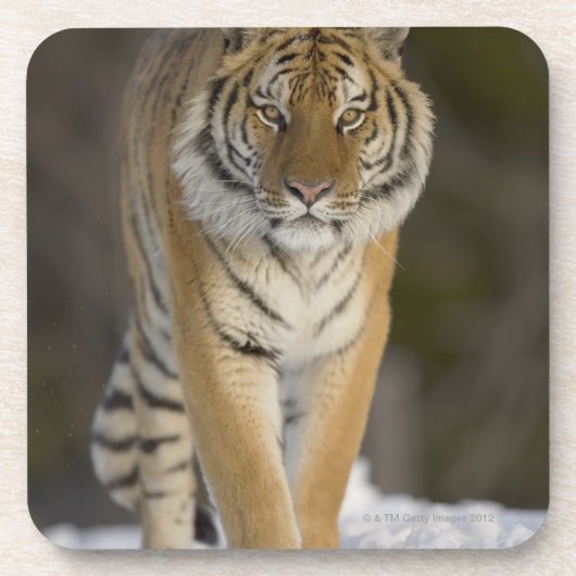 Gefangener, Duluth, Minnesota, USA Untersetzer (Vorderseite)